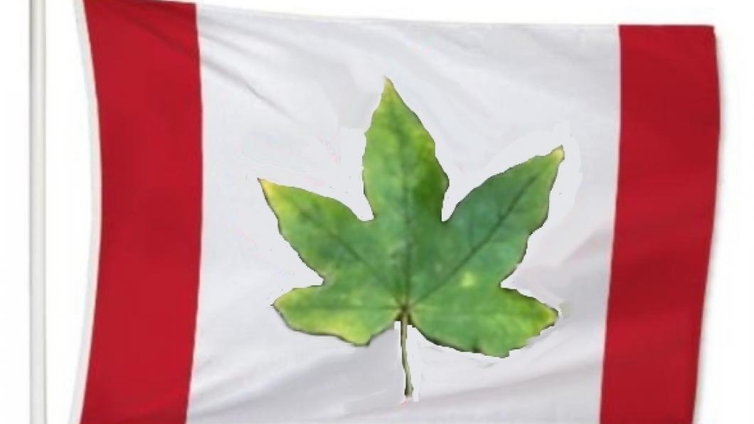 Canadese vlag waarvan het esdoornblad verdord is