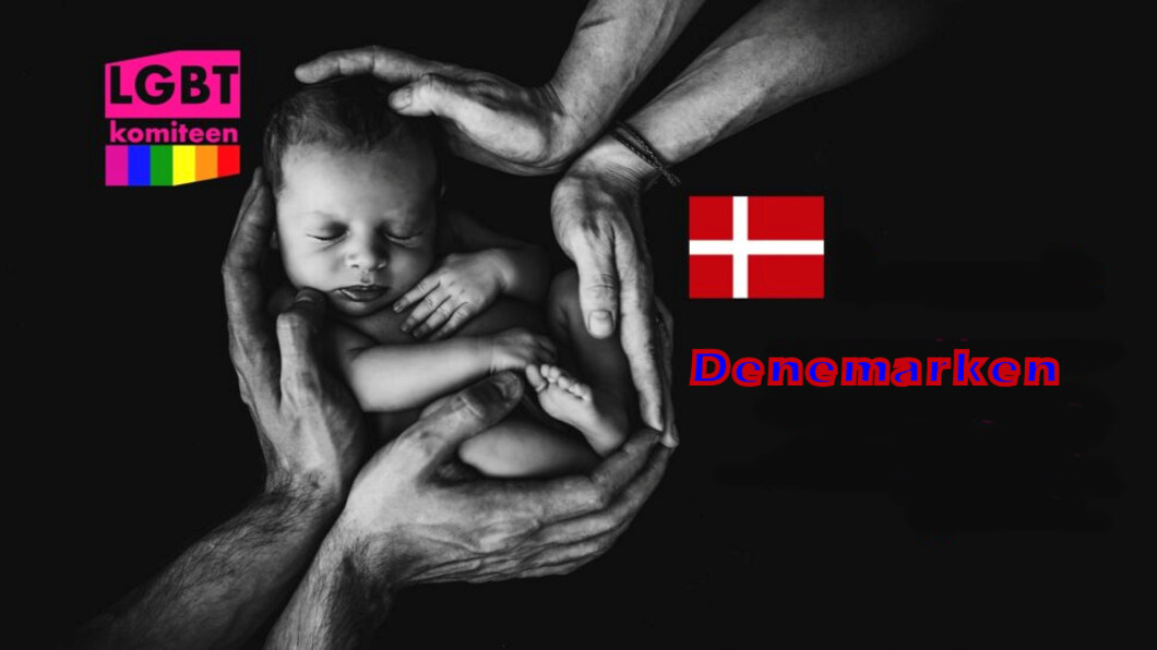Plaatje met baby en beschermende handen, vlag van Denemarken en logo van Deense LHBT-beweging