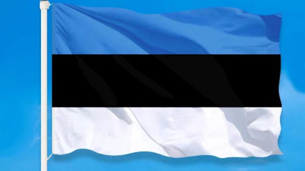 Vlag van Estland: van boven naar beneden een horizontale blauwe, zwarte en witte baan