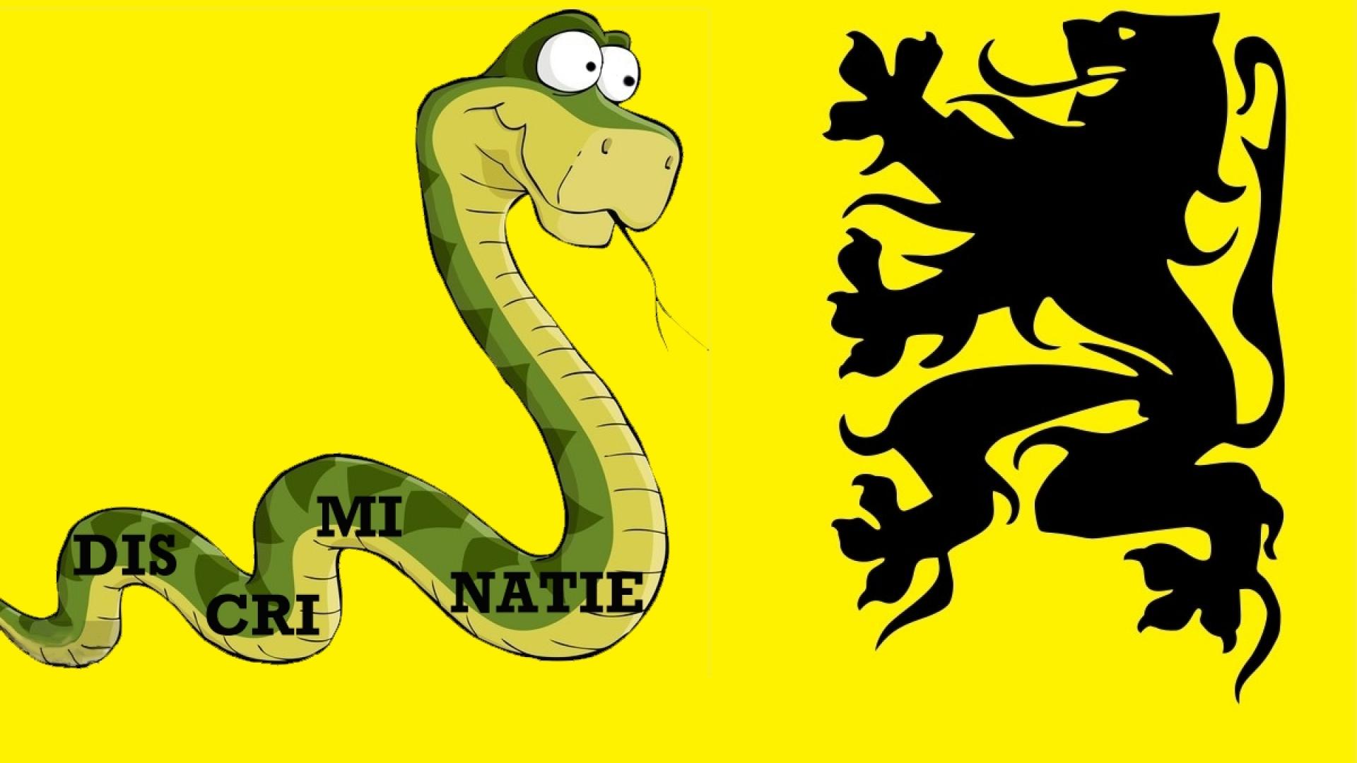 Vlaamse vlag, maar de leeuw vecht tegen een slang waarop de tekst DISCRIMINATIE staat.