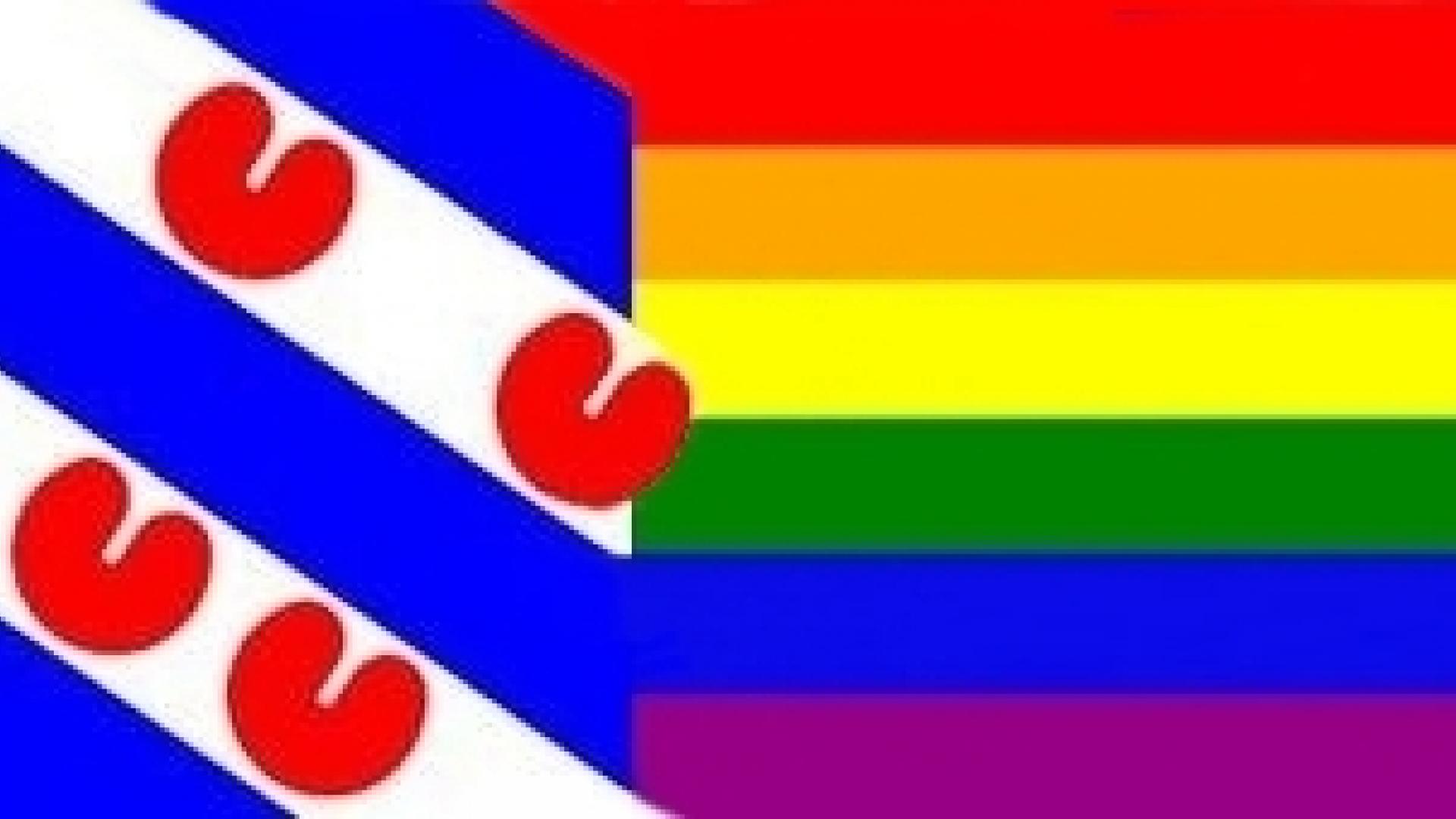 Friese vlag (met plompebladeren) die overgaat in regenboogvlag