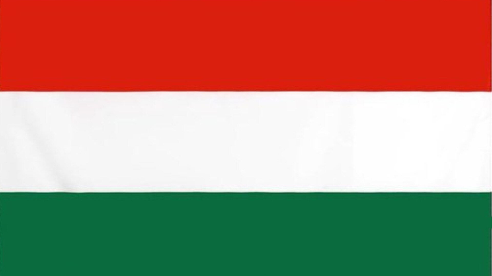Hongaarse vlag met drie horizontale banen van rood, wit, groen